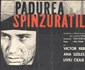 Afiș al filmului „Pădurea spânzuraților” aflat în patrimoniul Muzeului Național de Istorie a României