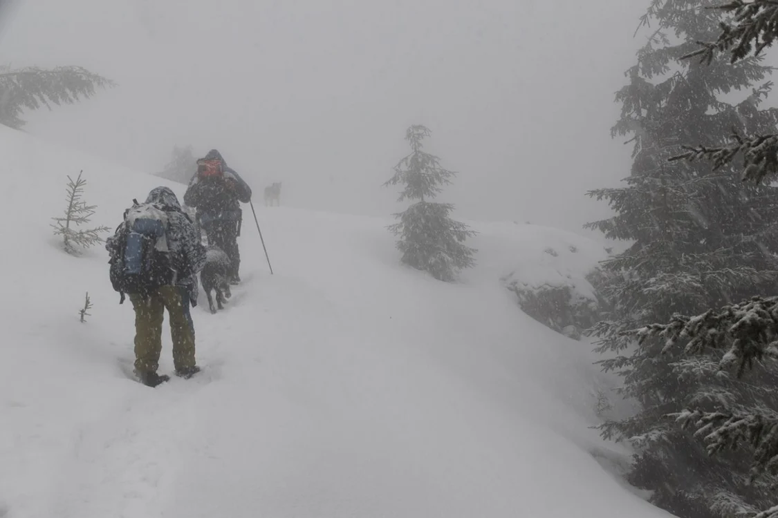 Risc de producere a avalanşelor de gradul 4 şi 5 la peste 1800 metri altitudine - în imagine zona montană a Vâlcii; Foto Ion Cârstea