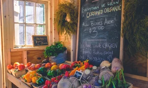 alimente bune pentru piele jpg