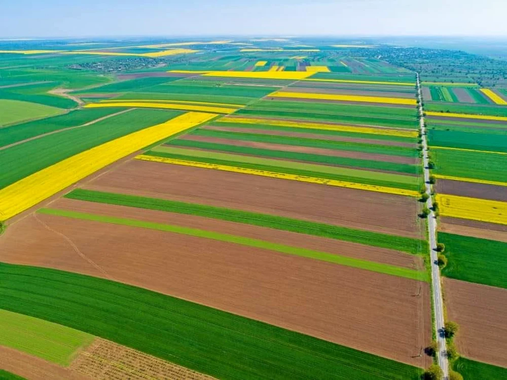 Terenuri agricole frumos parcelate