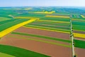 Terenuri agricole ale României Foto Adevărul jpg