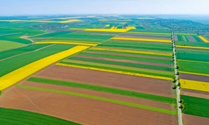 Terenuri agricole ale României Foto Adevărul jpg