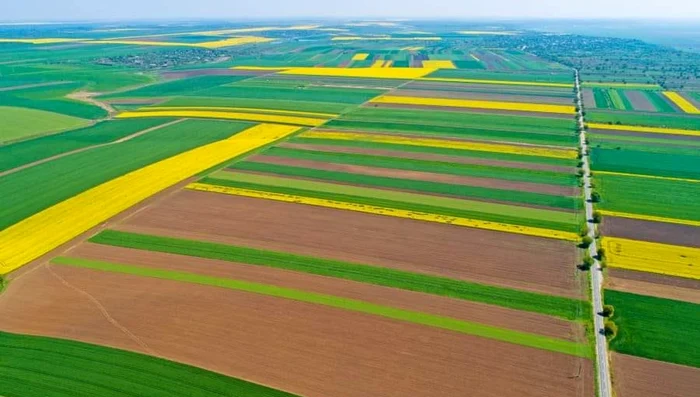 Terenuri agricole ale României Foto Adevărul jpg