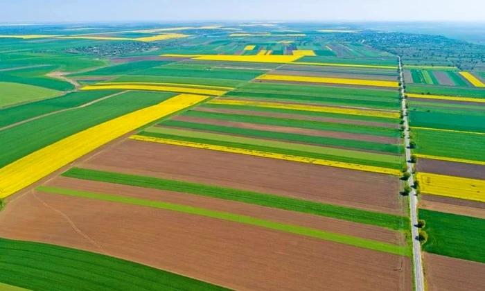 Terenuri agricole ale României Foto Adevărul jpg