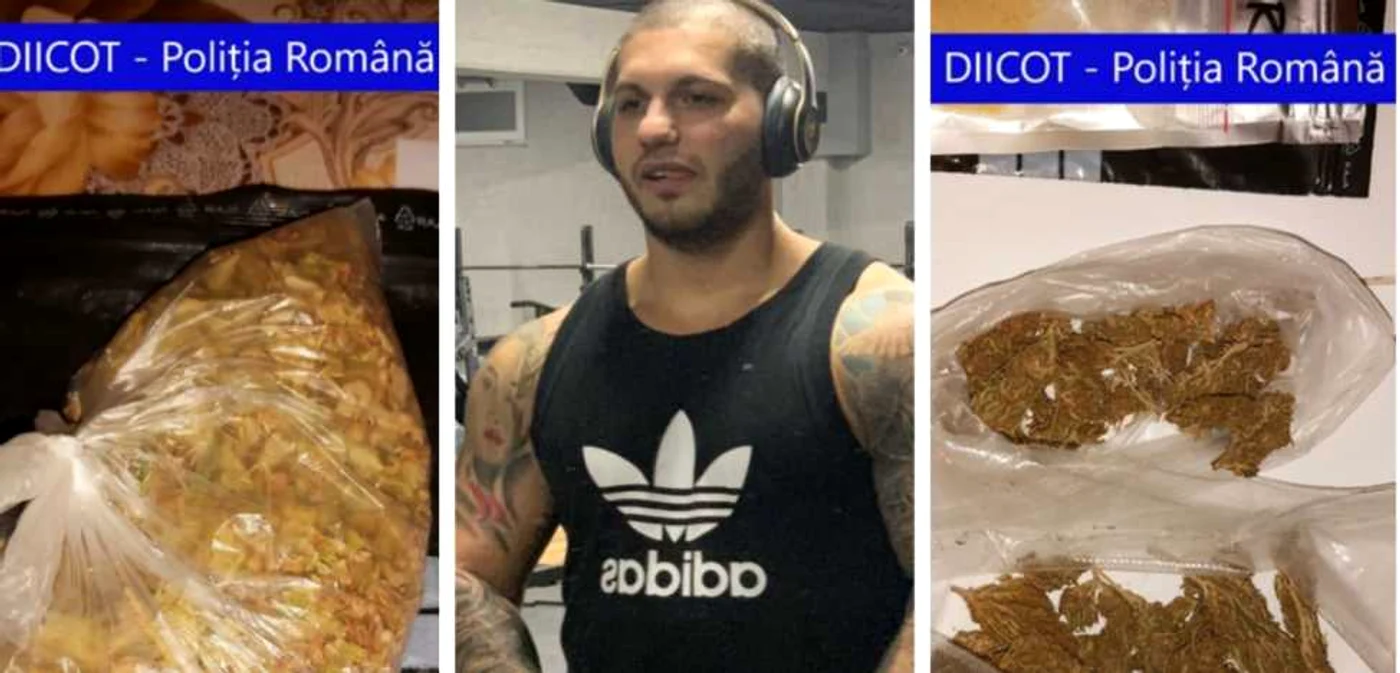 Dragonu a devenit cel mai important furnizor de cannabis din Alba Iulia
