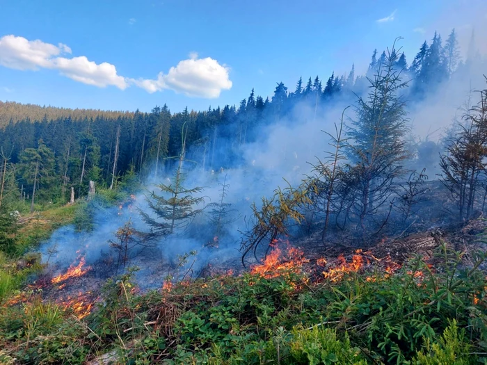 incendiu apuseni