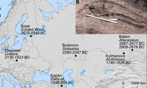 Moartea neagră este mai veche decât credeam png
