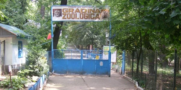 Grădina Zoologică din Bârlad a fost înfiinţată acum peste 50 de ani FOTO