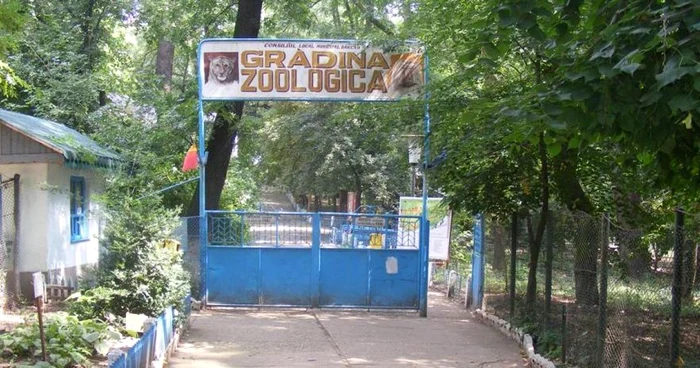 Grădina Zoo Bârlad FOTO Adevărul