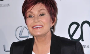 shutterstock 379117501 jpg