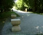 Parc Central