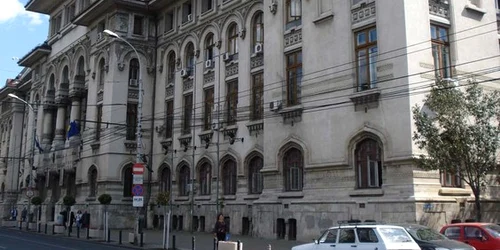 primaria capitalei jpeg