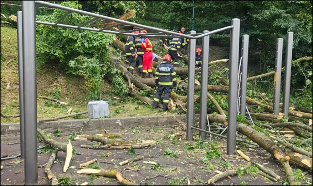 Un tânăr de 27 de ani a murit după ce un copac a căzut peste el, în Braşov. Reacția Primăriei