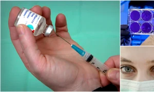 1 coronavirus gripa jpg jpeg