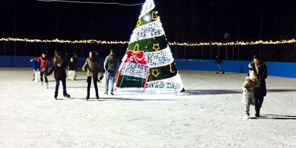 patinoar arad