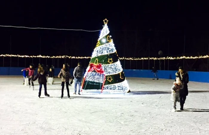 patinoar arad