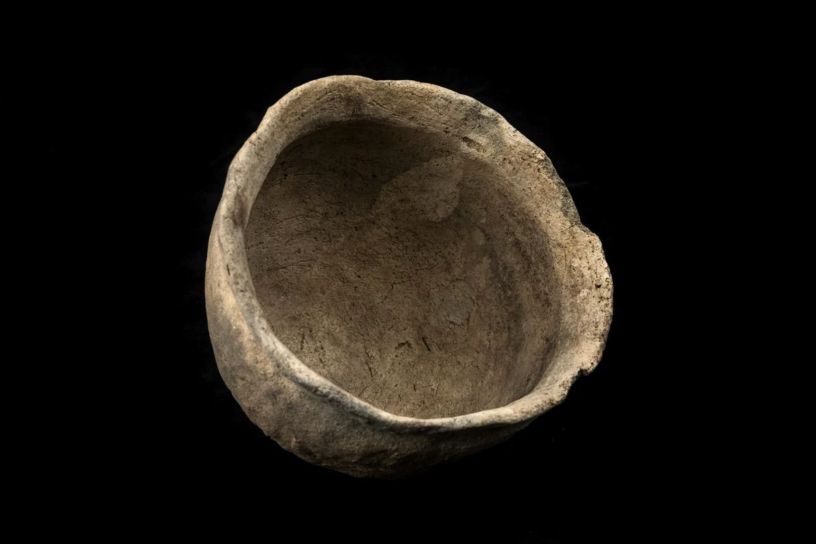 Din 2006, arheologii și studenții au colectat peste 7.000 de artefacte la fața locului, marea majoritate fiind piese de ceramică amerindiene (© Kristen Grace / Florida Museum)