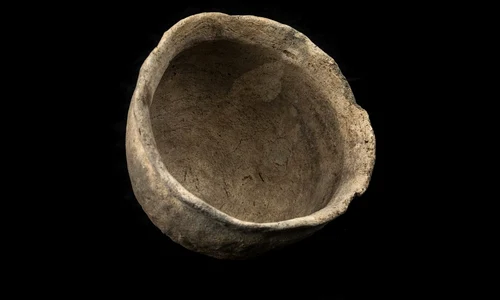 Din 2006, arheologii și studenții au colectat peste 7.000 de artefacte la fața locului, marea majoritate fiind piese de ceramică amerindiene (© Kristen Grace / Florida Museum)