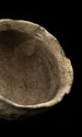 Din 2006, arheologii și studenții au colectat peste 7.000 de artefacte la fața locului, marea majoritate fiind piese de ceramică amerindiene (© Kristen Grace / Florida Museum)