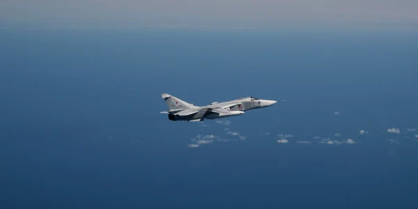 Avion JAS 39 Gripen FOTO X / @Forsvarsmakten