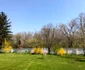 IMG 9379 jpeg