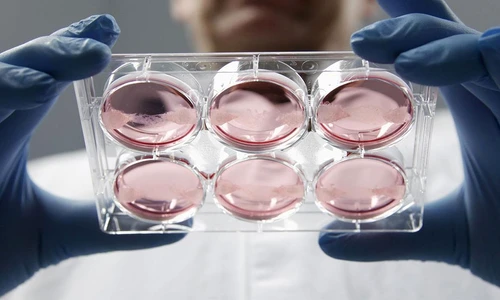 1 80430 original jpg jpeg