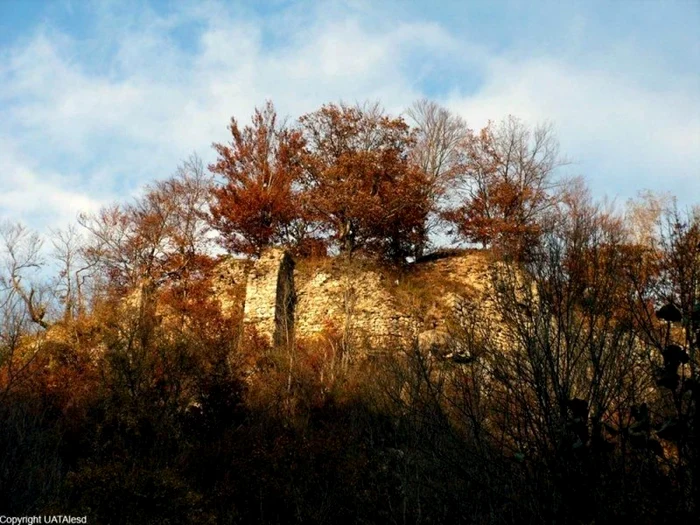 Cetatea Piatra Şoimului una dintre fortăreţele câştigate în luptă de familia Borşa FOTO UATAlesd