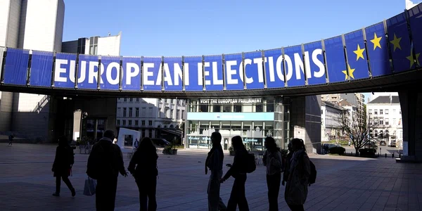 alegerile europarlamentare jpg