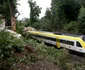 Tren deraiat în Germania FOTO Profimedia