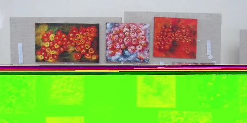 Tablourile costă 70 de lei