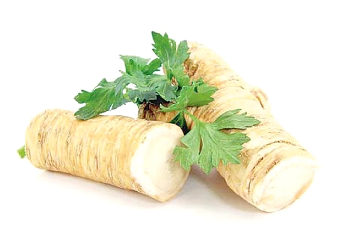 
    Foto: Shutterstock  