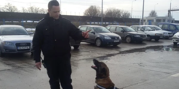 Cainele politist Omu Galati Foto Oana Cernat