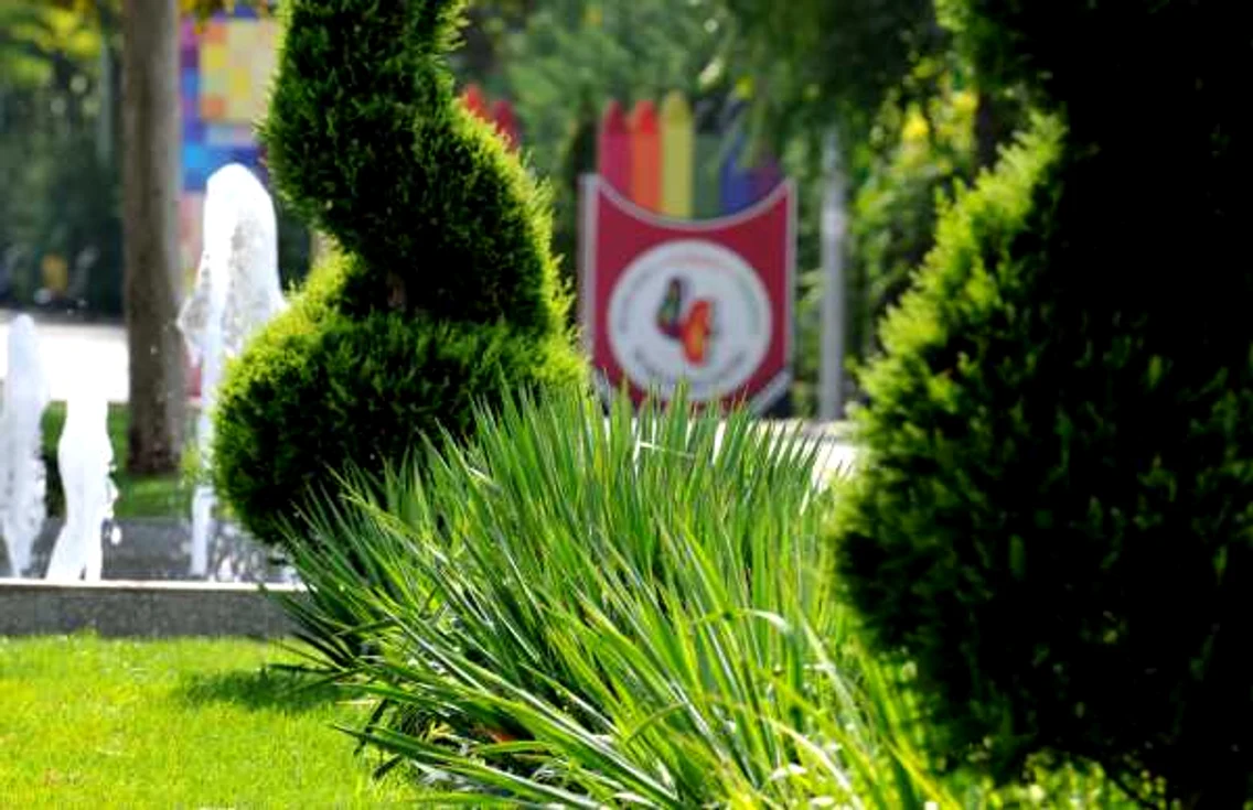 aa