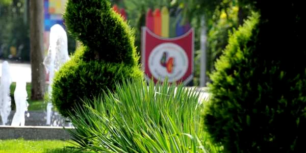 aa