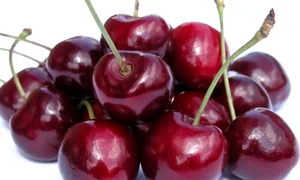 cirese fotolia 100109 subscription l jpeg