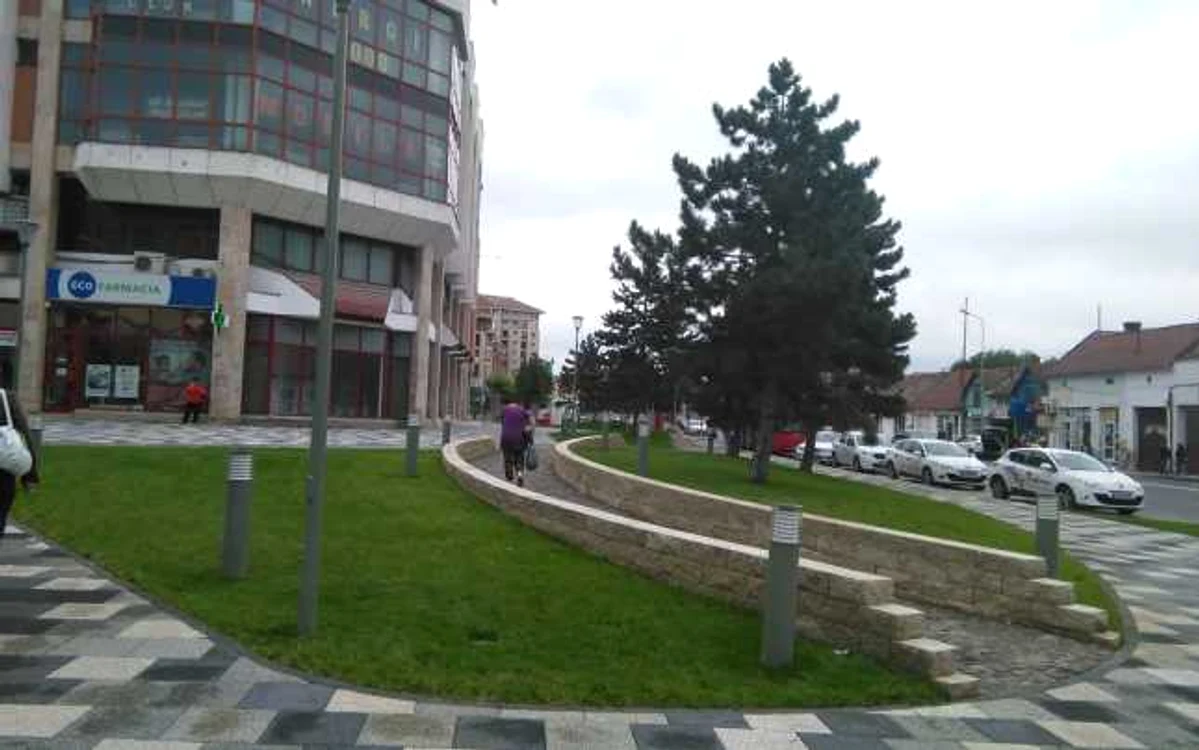 Firma care va câştiga se va ocupa de spaţiile verzi din oraş timp de 4 ani