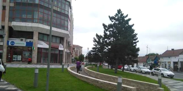 spatii verzi alba