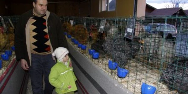 Cele mai frumoase păsări din judeţ au fost adunate laolaltă 