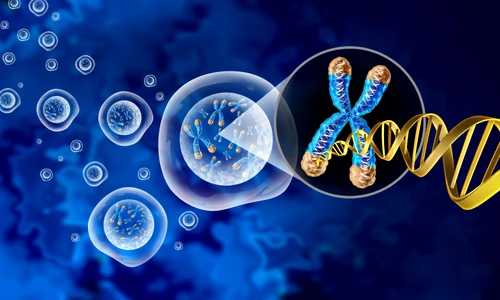 shutterstock 2190741877 jpg