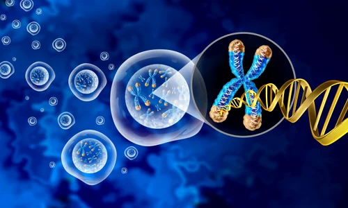 shutterstock 2190741877 jpg