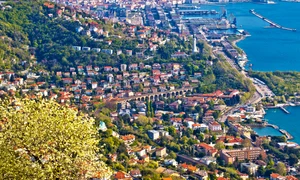 Trieste vedere panoramica shutterstock