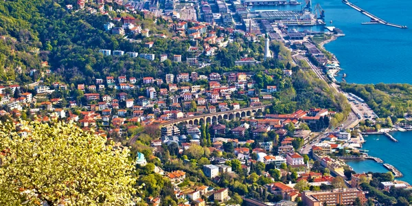 Trieste vedere panoramica shutterstock