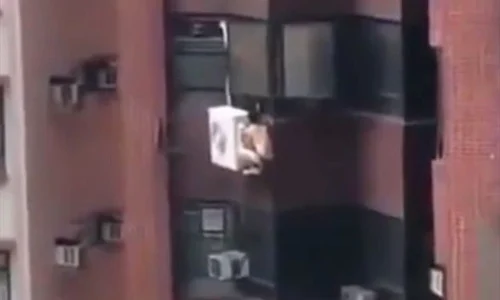 barbat1 jpeg