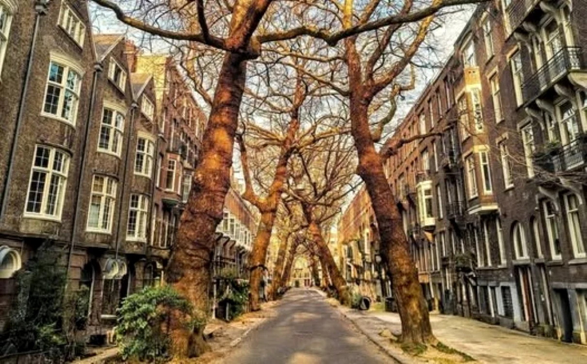 Lomanstraat, strada care atrage turiști din întreaga lume / foto: Facebook