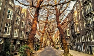 strada lomanstraat facebook jpg