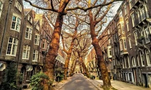 strada lomanstraat facebook jpg