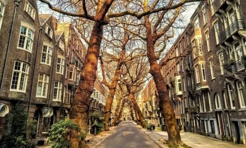 strada lomanstraat facebook jpg