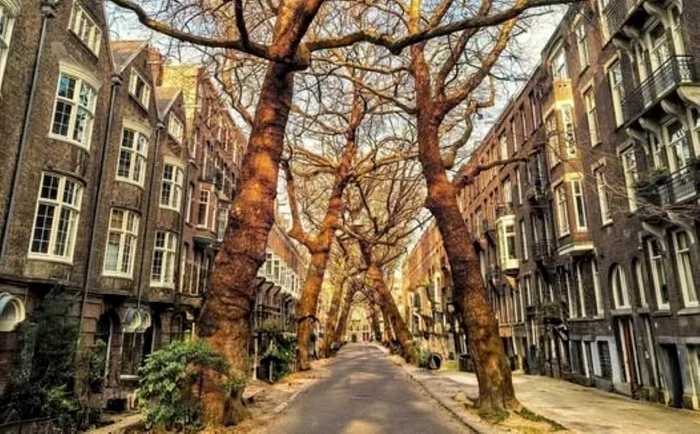 Lomanstraat, strada care atrage turiști din întreaga lume / foto: Facebook