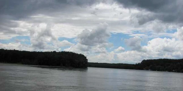 calarasi borcea