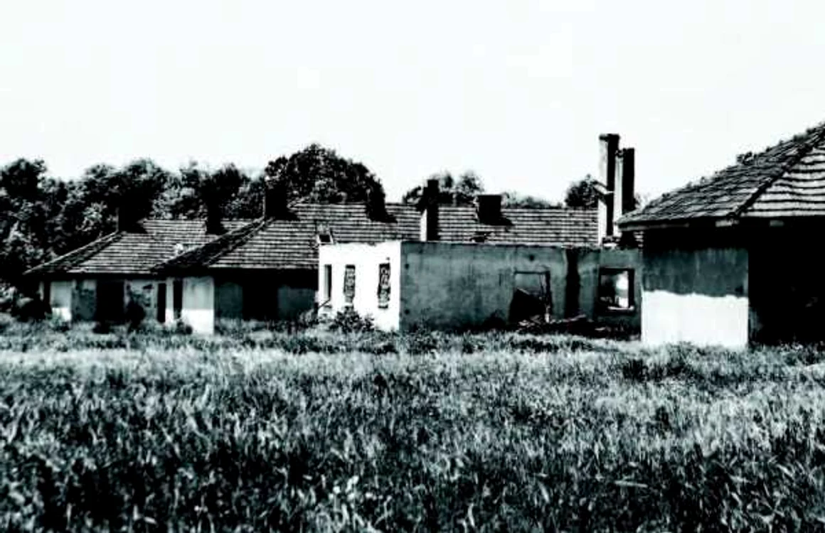 periprava historia.ro